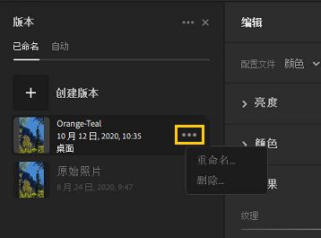 重命名或删除版本