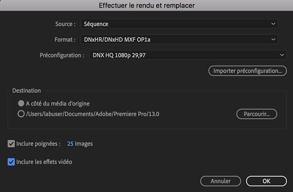 Sélection du format et des paramètres pour rendre la séquence