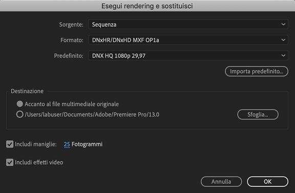 Scegliere il formato e le impostazioni per il rendering della sequenza