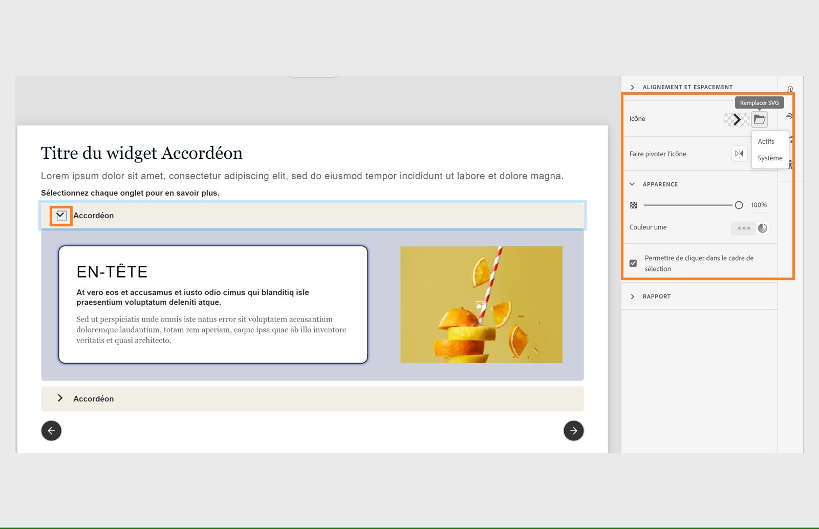 Personnalisation de l’icône en remplaçant le SVG ou en modifiant son apparence