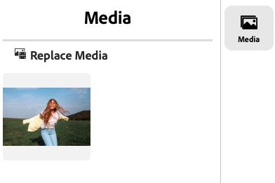 Sélectionnez le bouton Remplacer le média pour remplacer la photo.