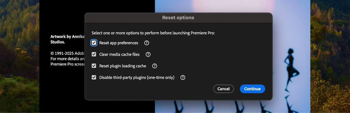 Se inicia el cuadro de diálogo Reset options, hay diferentes opciones para iniciar Premiere Pro, como restablecer las preferencias de la aplicación, borrar los archivos de caché de medios y restablecer la caché de carga de complementos.