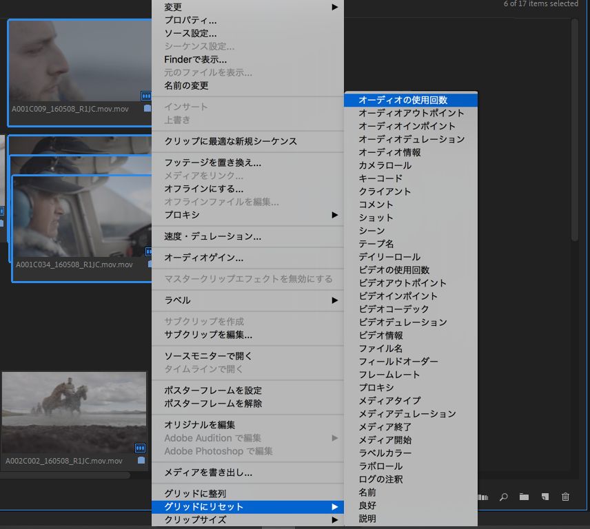 Premiere Pro のプロジェクトパネルでの作業