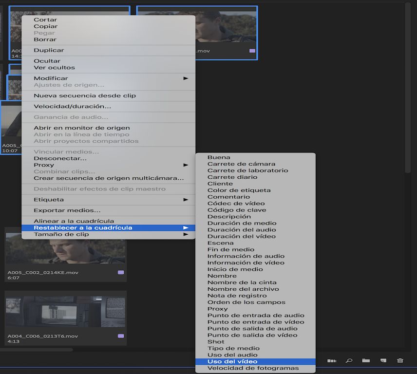 Restablecer los clips a la cuadrícula