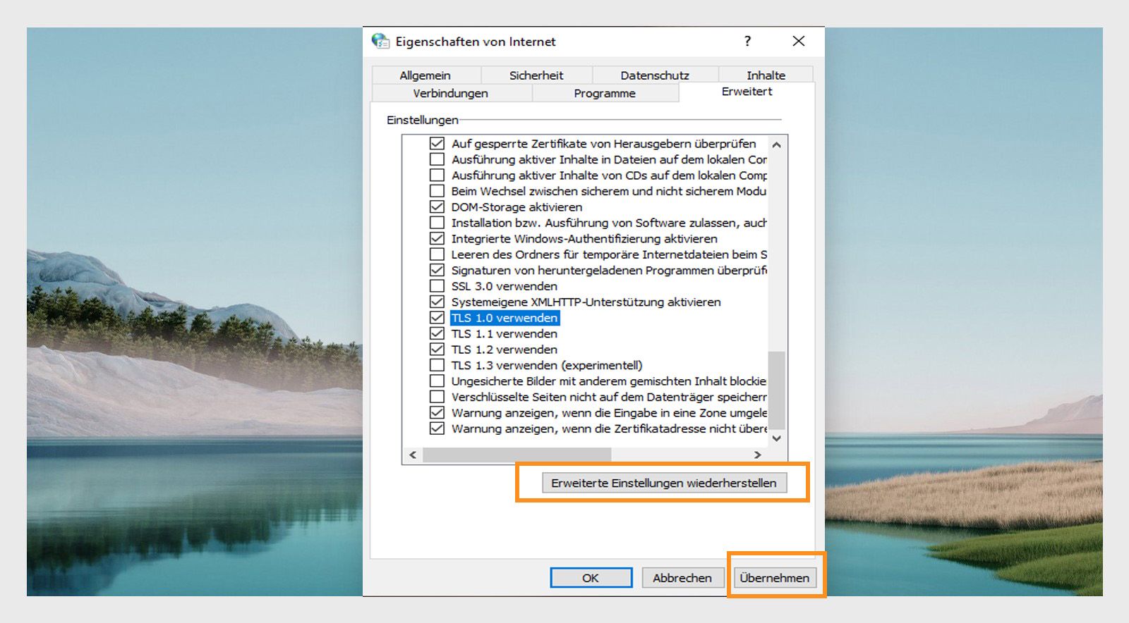 Fenster zum Wiederherstellen der Internetoptionen