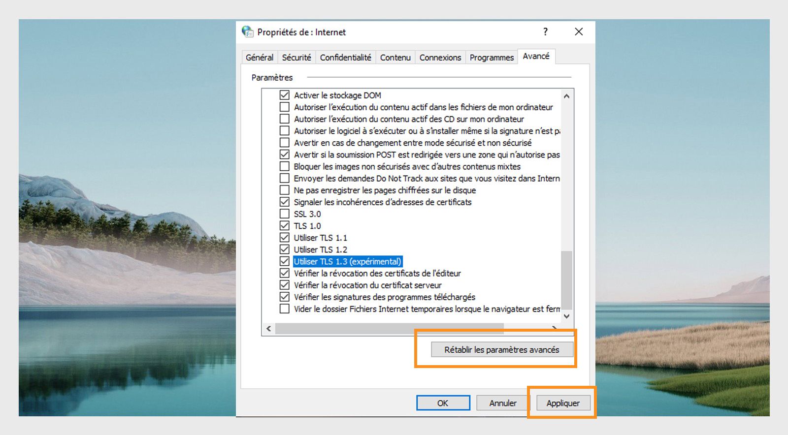 Fenêtre Rétablir les Options Internet
