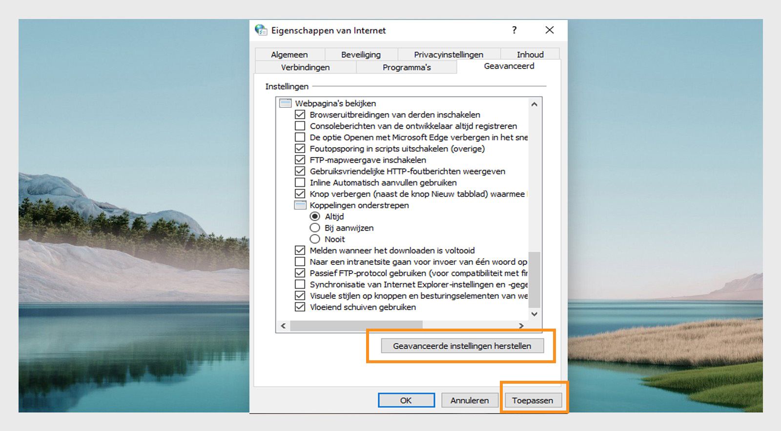 Het venster Internetopties herstellen