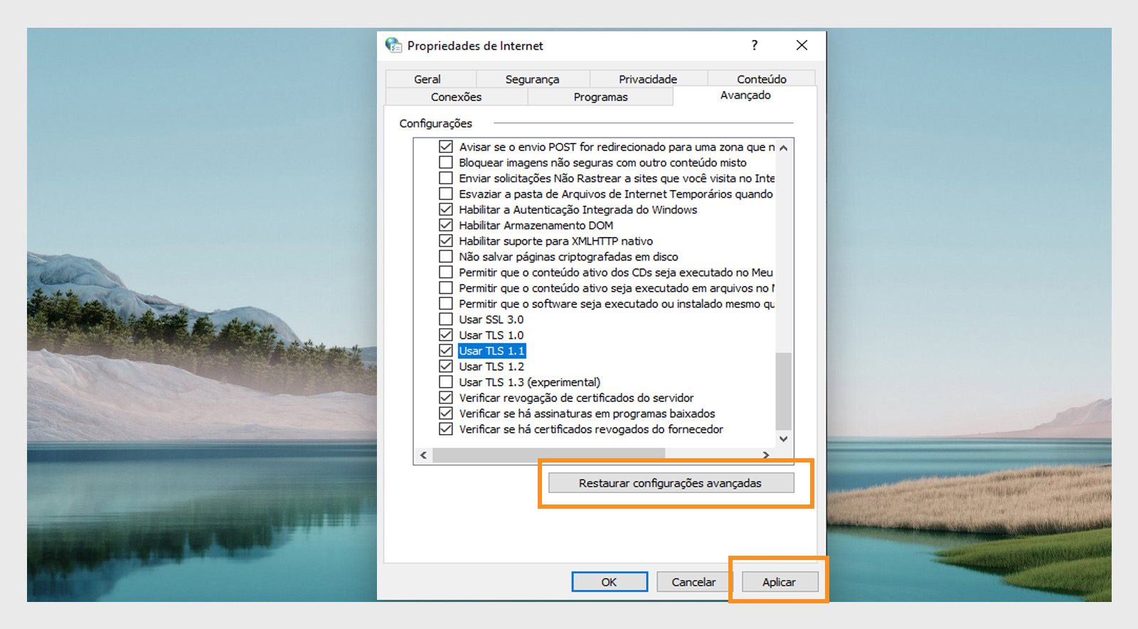 Restaurar janela Opções da Internet