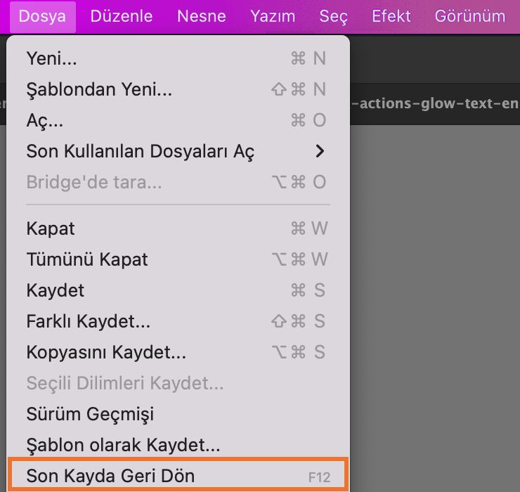Bir dosyayı son kaydedilen sürümüne de geri döndürebilirsiniz. Ancak Döndür eylemi, dosyayı veya belgeyi yeniden açarsanız çalışmaz. Döndür seçeneğini Dosya menüsünde bulabilirsiniz.