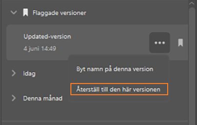 Återgå till en tidigare version i programmet