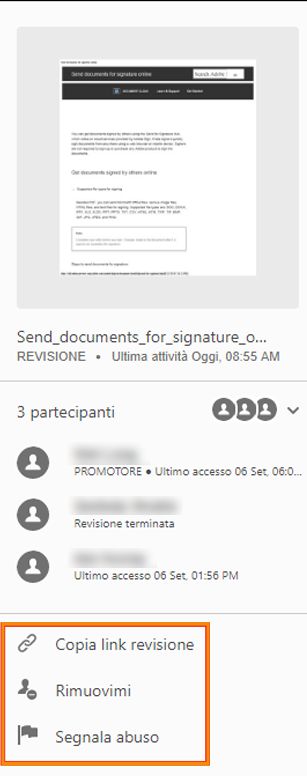 Opzioni per il revisore