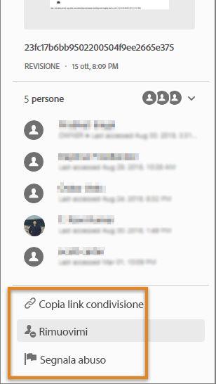 Opzioni per il revisore