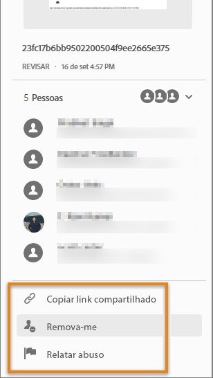 Opções do revisor