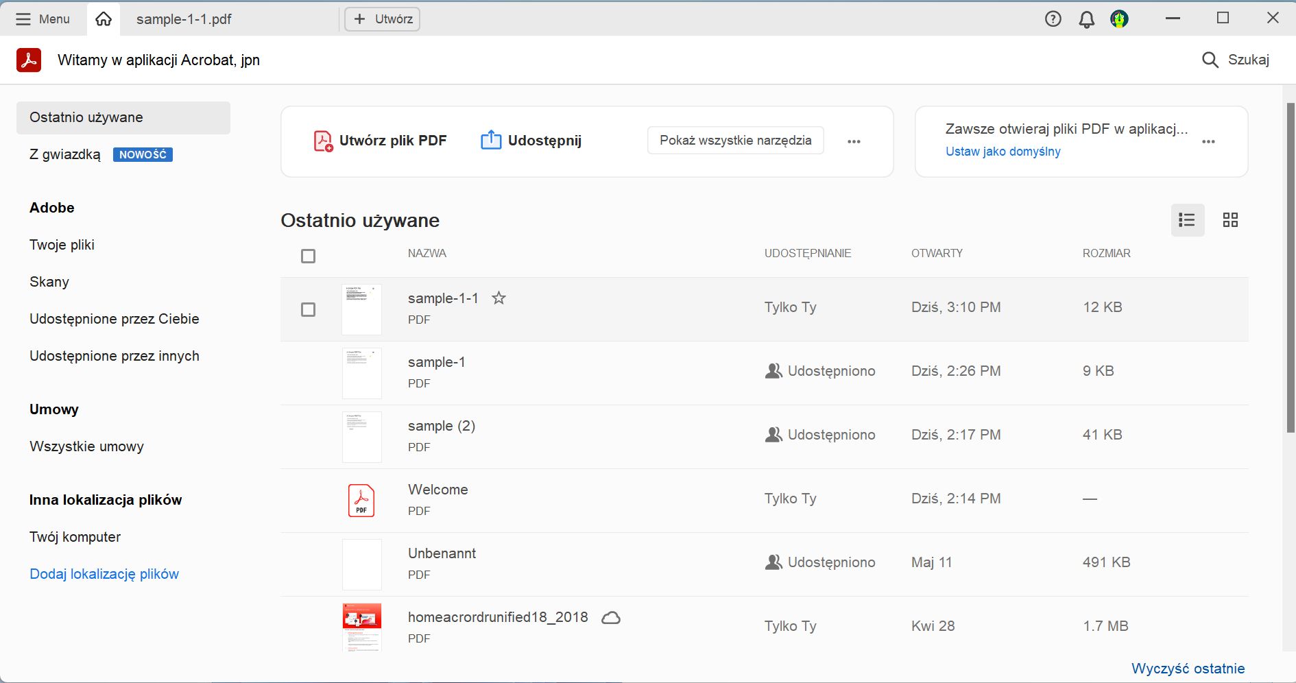 Przejdź do pliku PDF
