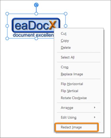 Context menu options for image selection