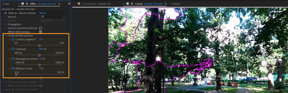 Commandes du groupe Cache de Roto-pinceau dans l’effet Roto-pinceau.