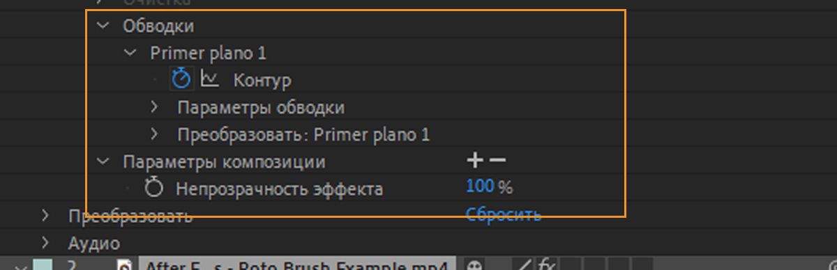 Группа свойств «Обводка» в группе свойств «Кисть для ротоскопии» на панели «Временная шкала».