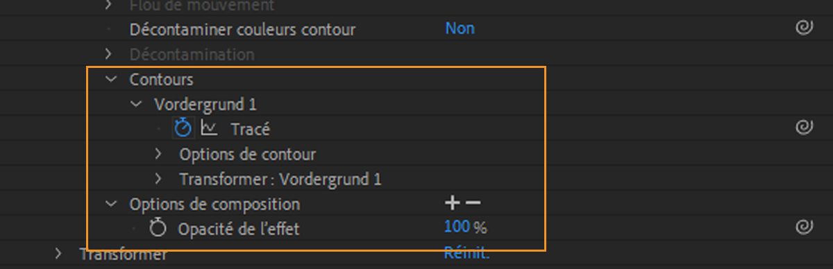 Groupe de propriétés Contours dans le groupe de propriétés Roto-pinceau du panneau Montage.