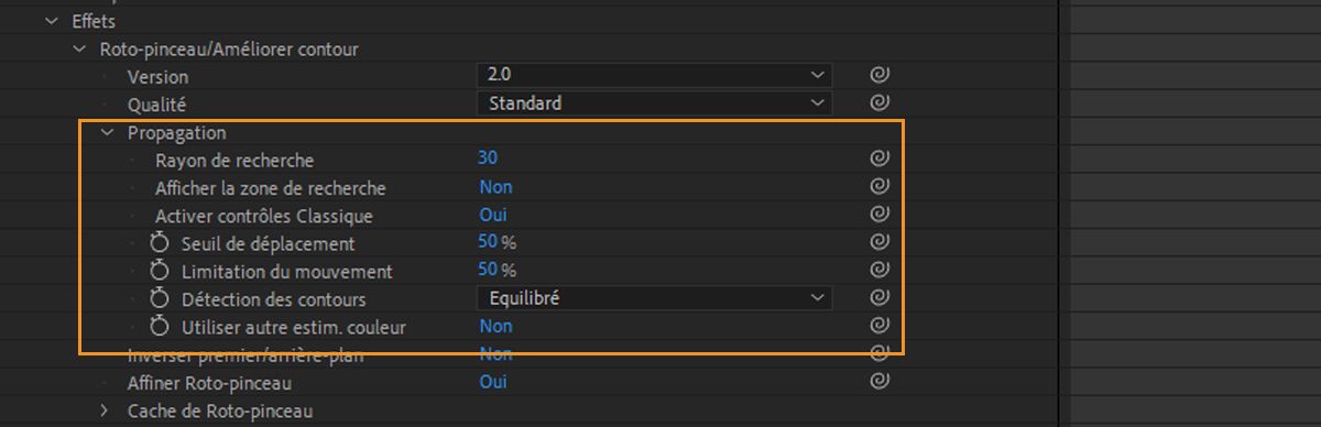 Activez les contrôles de la version classique Roto-pinceau dans le panneau Montage.