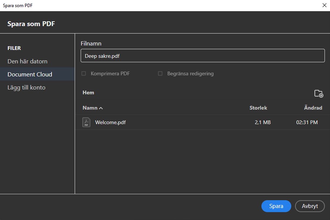 Dialogrutan Spara som