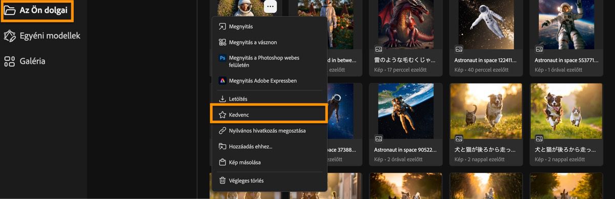 A létrehozott képek a Létrehozási előzmények oldalon szerepelnek, és vannak menüpontok, amelyek közül választhat.