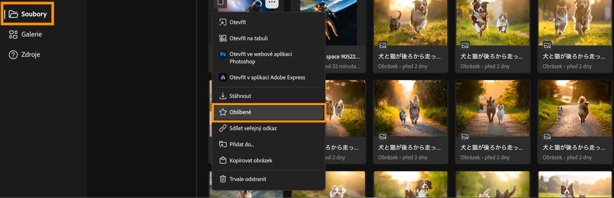 Vygenerované obrázky jsou uvedeny na stránce historie generování a můžete si vybrat z možností nabídky.