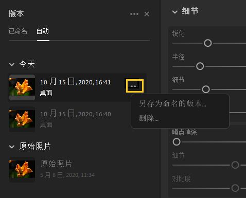 将自动版本快速保存到“已命名”选项卡