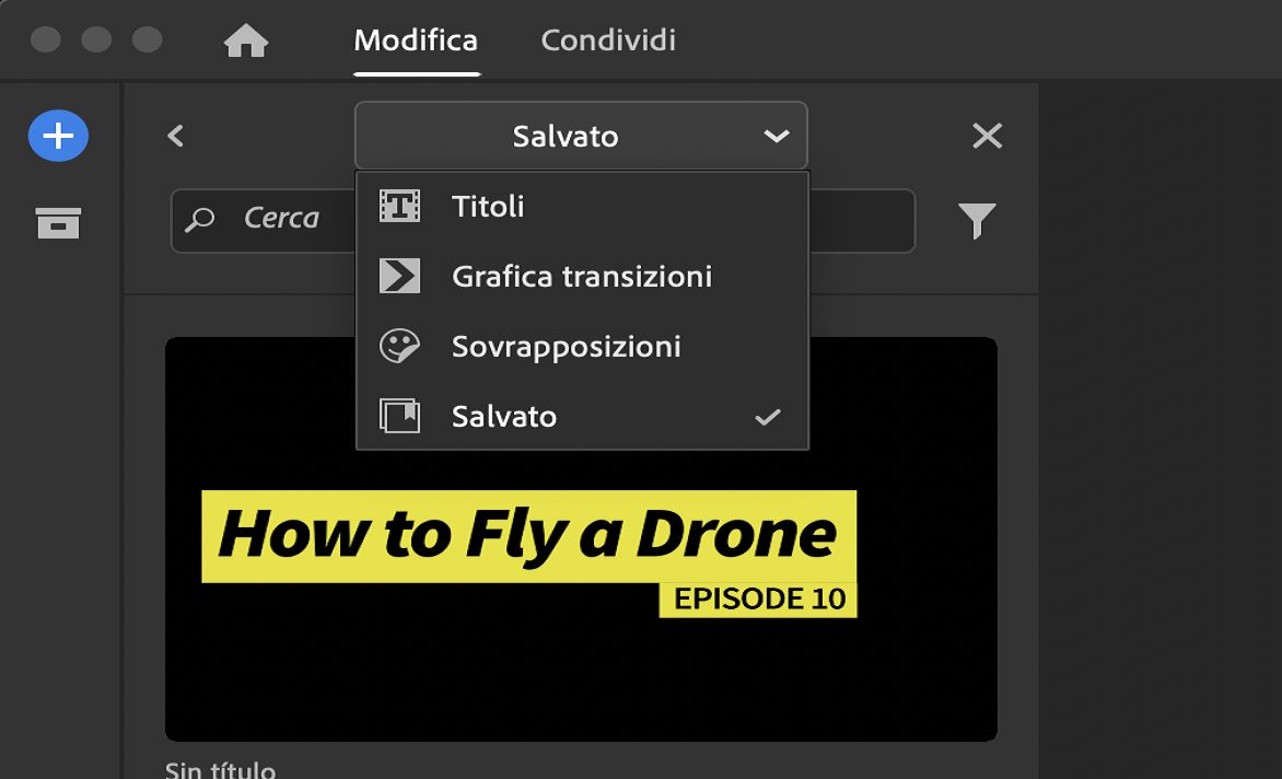 Sezione Salvati del Browser degli elementi grafici multimediali