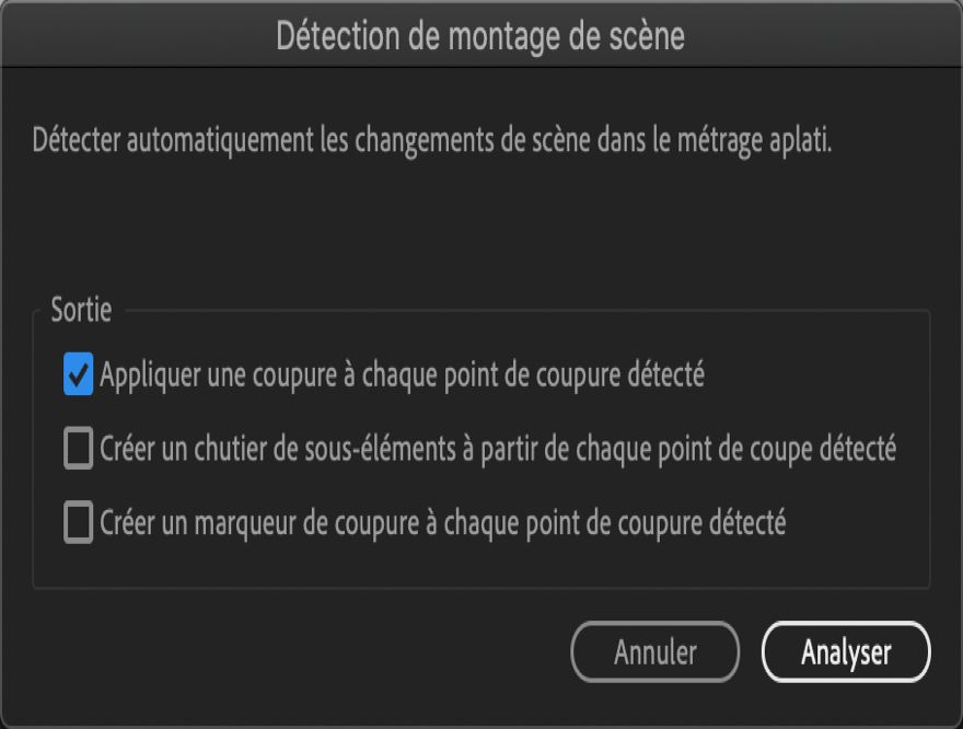 La boîte de dialogue Détection de montage de scène