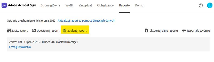 Opcja strony raportu – zaplanuj raport