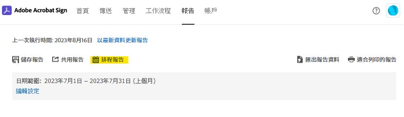 報告頁面選項 - 排程報告