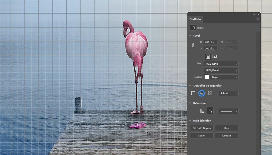 Geliştirilmiş Özellikler paneli
