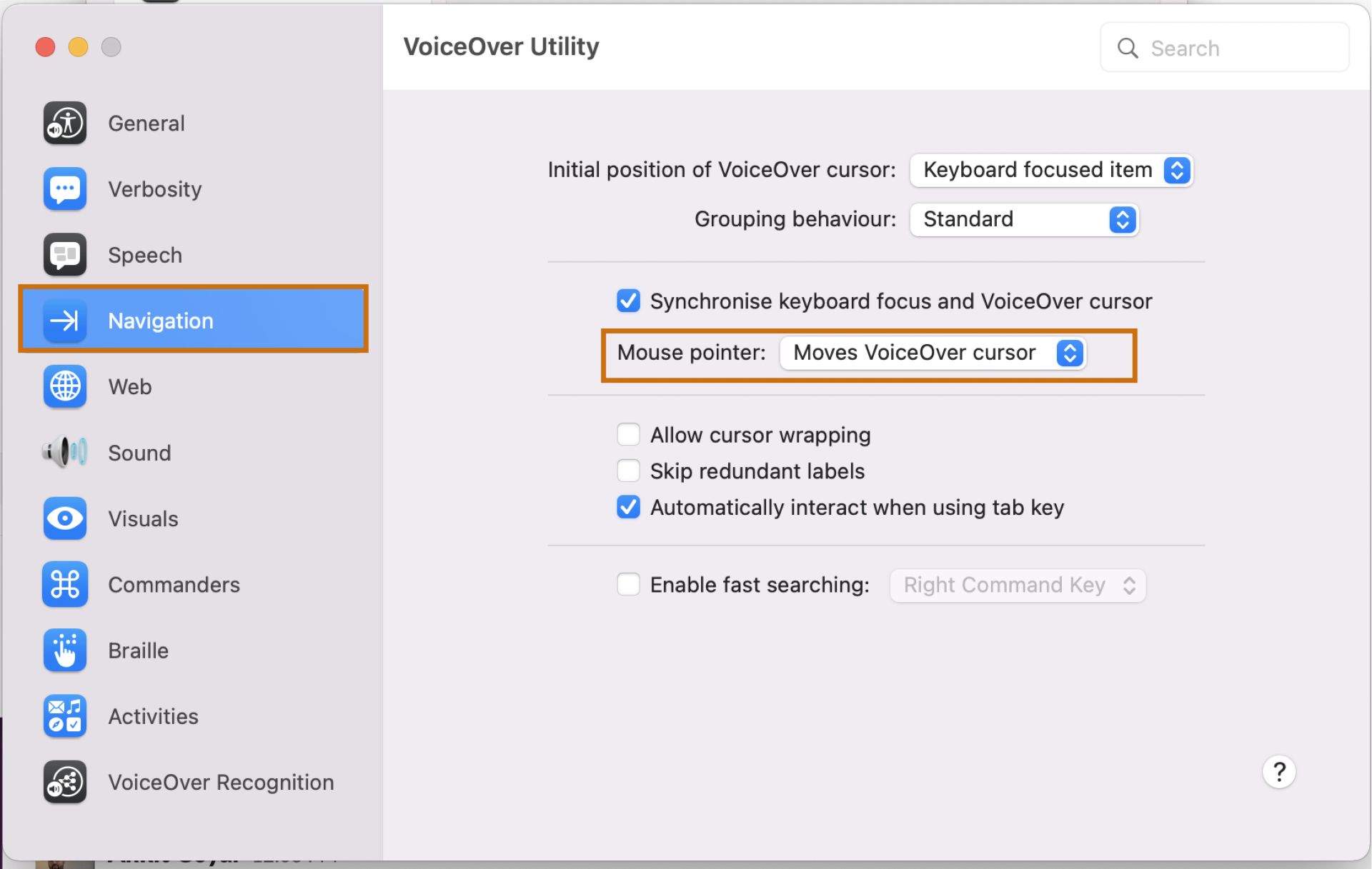VoiceOver Yardımcı Programı