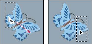 Photoshop Moving selection border