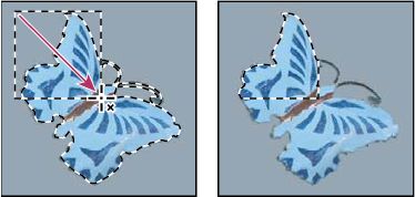 Photoshop Intersected selections