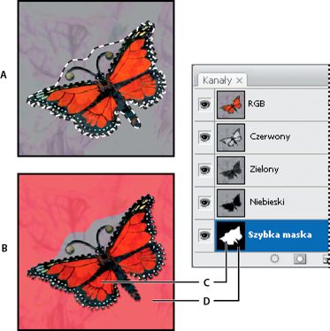 Tryb standardowy i tryb szybkiej maski w programie Photoshop