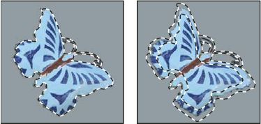 Photoshop Border command