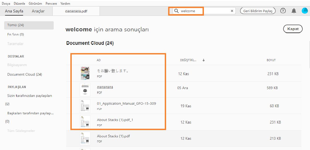 Document Cloud dosyaları için arama sonuçlarında içerik ve dosya adları bulunur