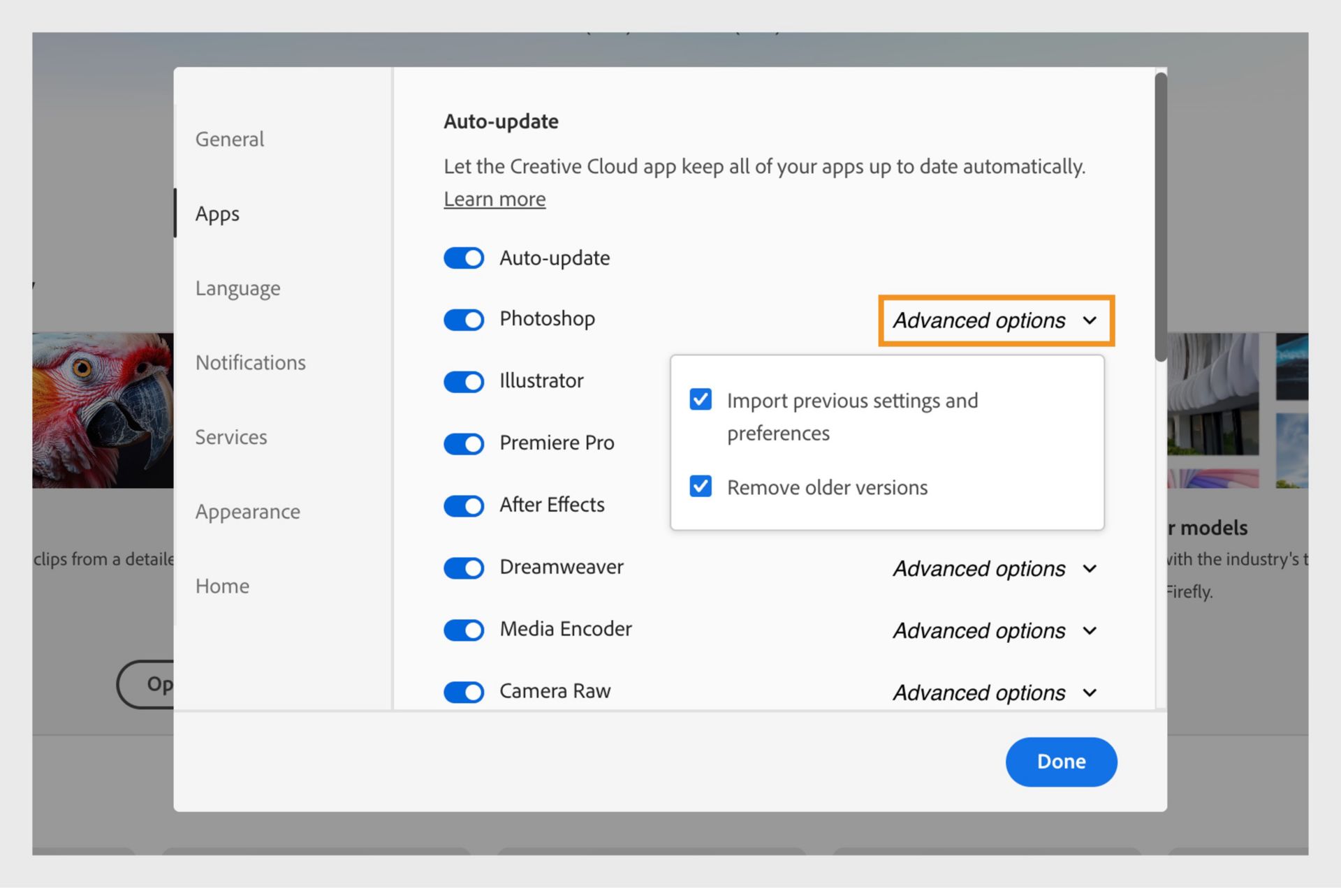 Creative Cloud 应用程序的高级选项显示该应用程序的自动更新设置，其中包括导入以前的设置和首选项以及移除旧版本。