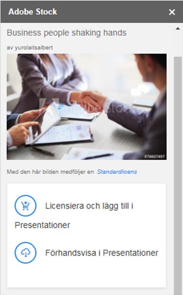 Förhandsvisa den valda bilden i Presentationer