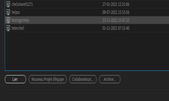 Gérer le projet d’équipe