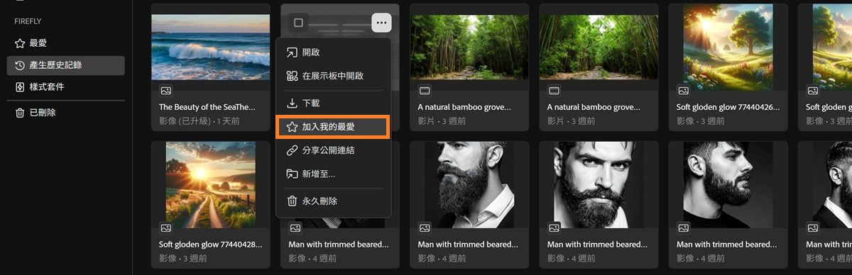 「產生歷史記錄」標籤顯示出檔案的內容選單，其中強調顯示了「最愛」選項。