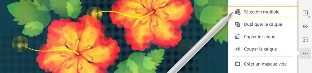 prise en charge de plusieurs calques