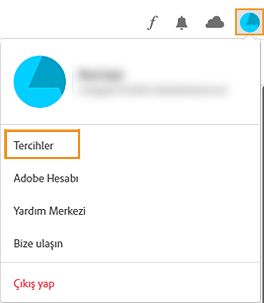 Hesabı ve Tercihleri Belirleme
