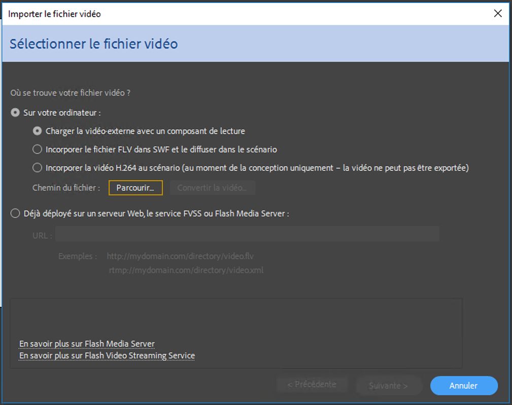 Fenêtre Sélectionner une vidéo
