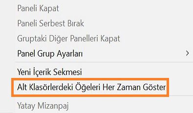 Alt klasördeki tüm öğeleri görüntülemek için Alt Klasörlerdeki Öğeleri Her Zaman Göster'i seçin. 