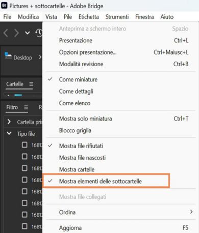 Selezionate Mostra elementi delle sottocartelle per visualizzare il contenuto delle cartelle. 