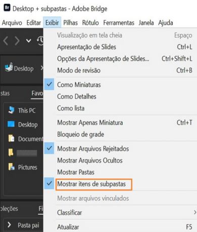 Selecione Mostrar itens em Subpastas para exibir o conteúdo das pastas. 