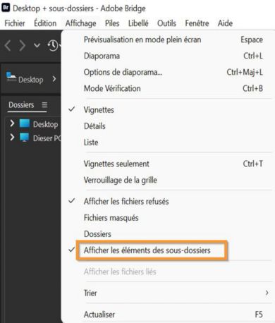 Sélectionnez Afficher les éléments des sous-dossiers pour afficher le contenu des dossiers. 