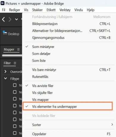 Velg Vis elementer fra undermapper for å vise innholdet i mappene. 